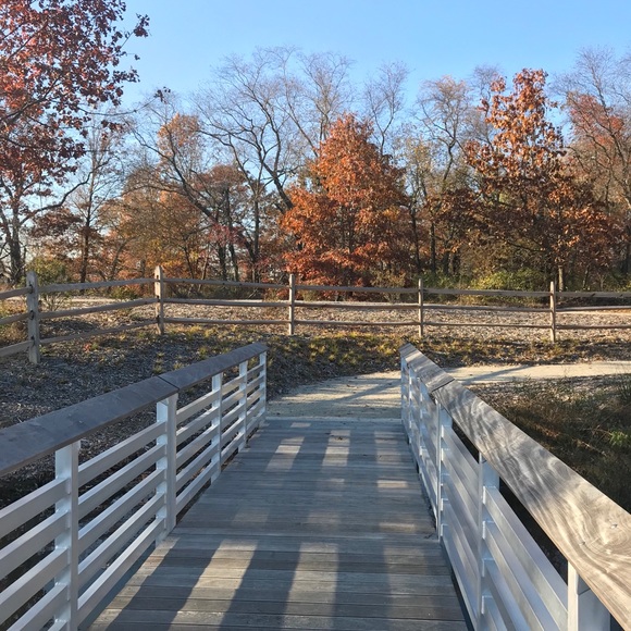 Meet your Posher, Lauryce - Picture 7 of 13